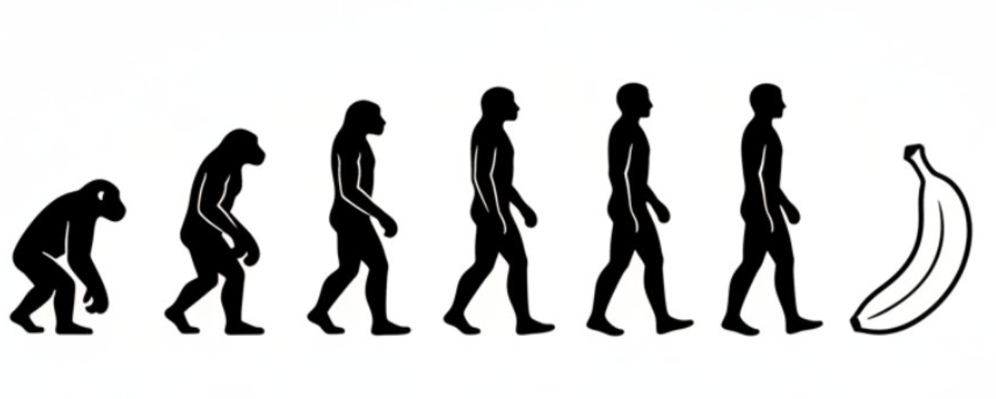 Generate an evolutionary progression chart in a minimalist black-and-white style, showing the evolution from the earliest apes to humans ...